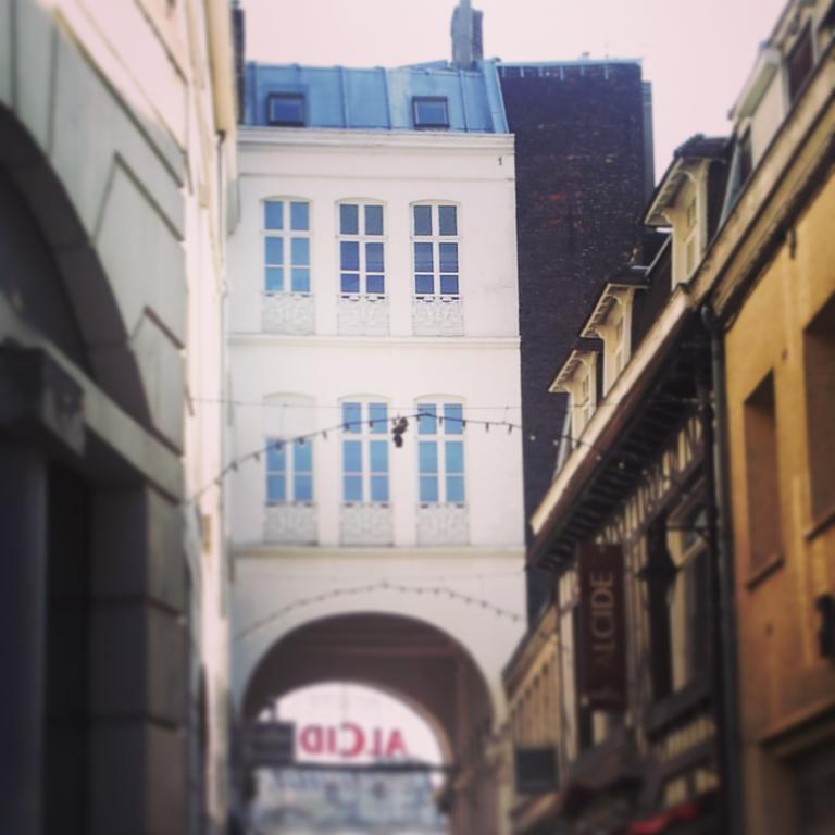 Lille Centre Ville, Beaux Arts Et Grand Palais, Bienvenue Chez Nestyou Lille Exteriér fotografie